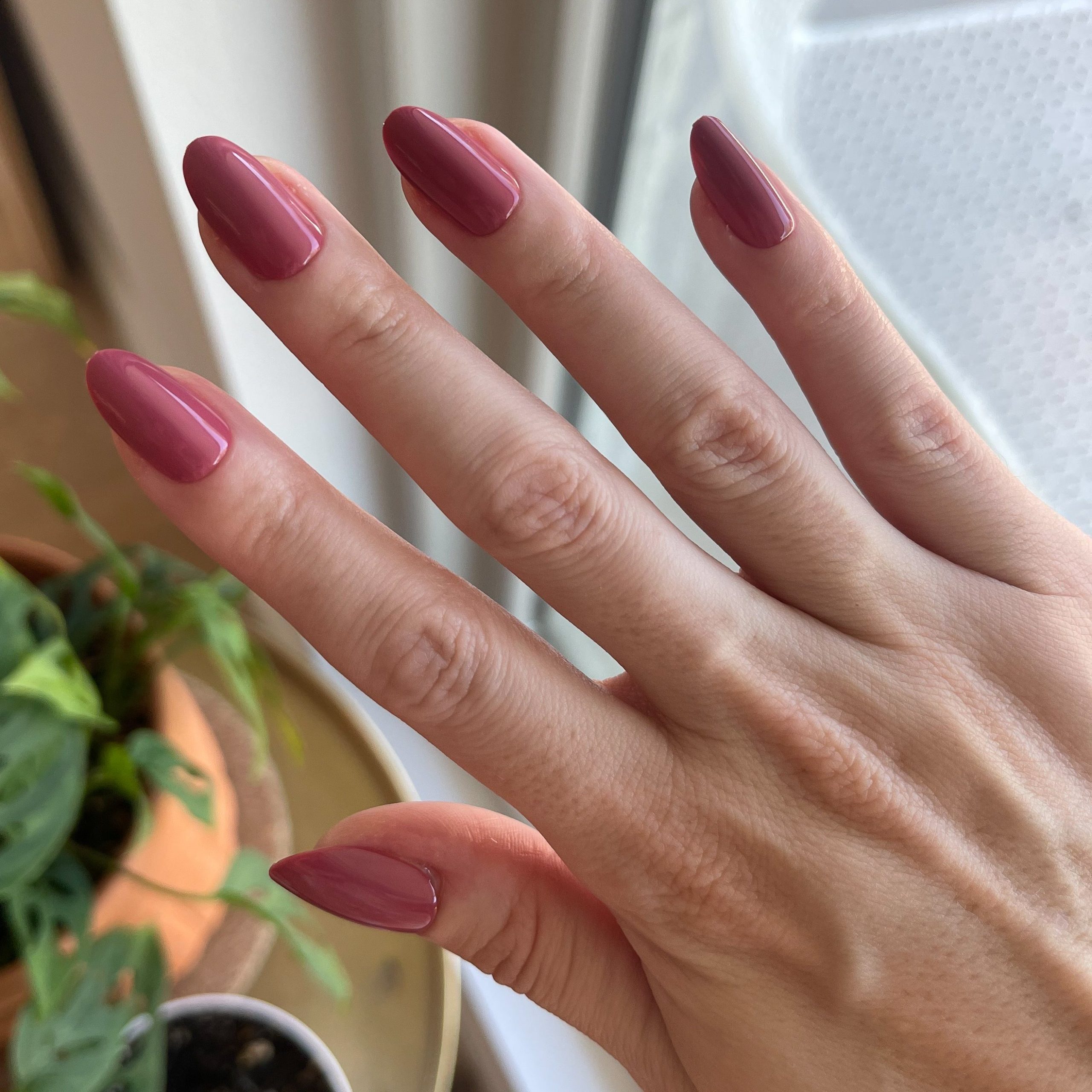 LD - Press-On | Medium | Oval - Image 5