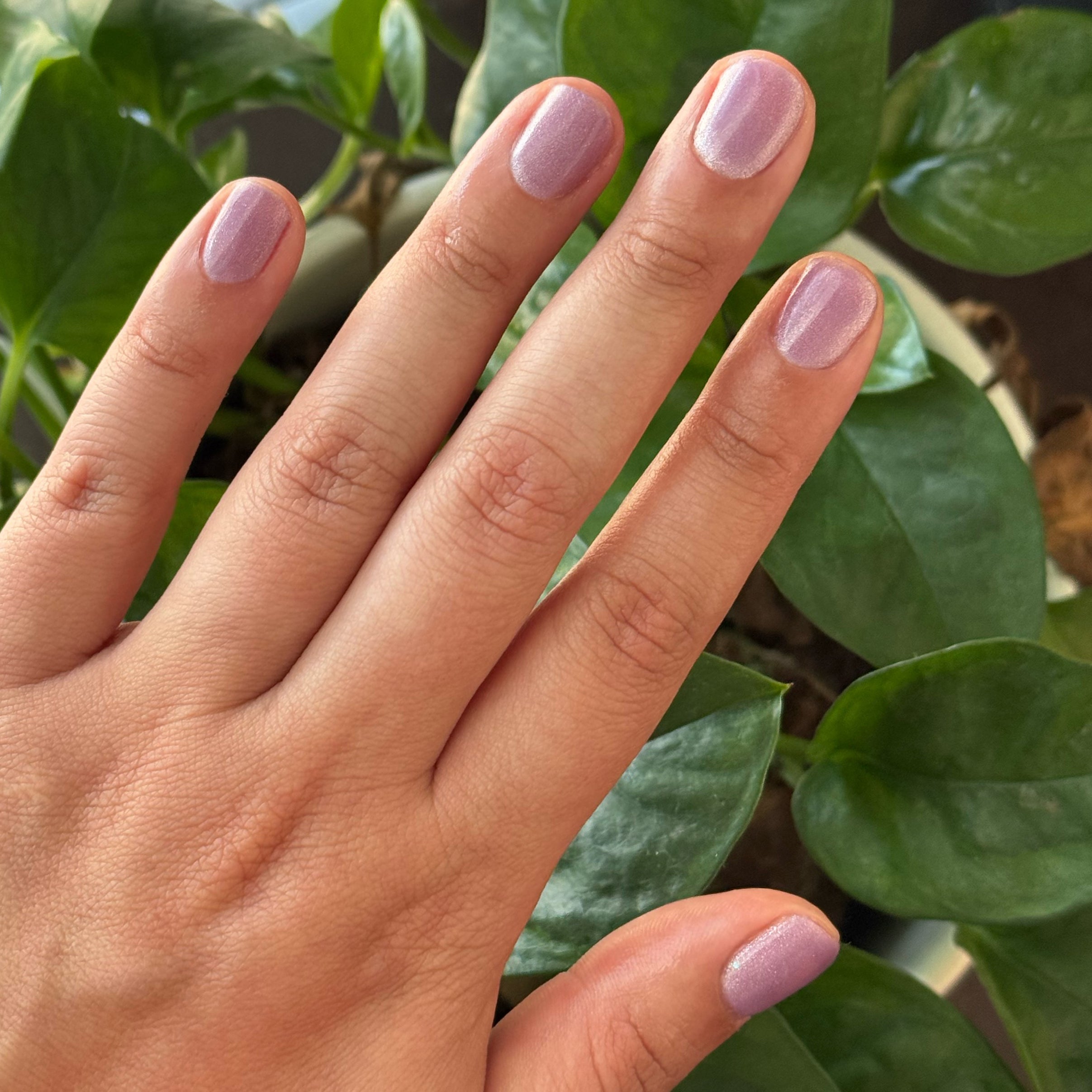 Amethyst Velvet - Gel - Image 8