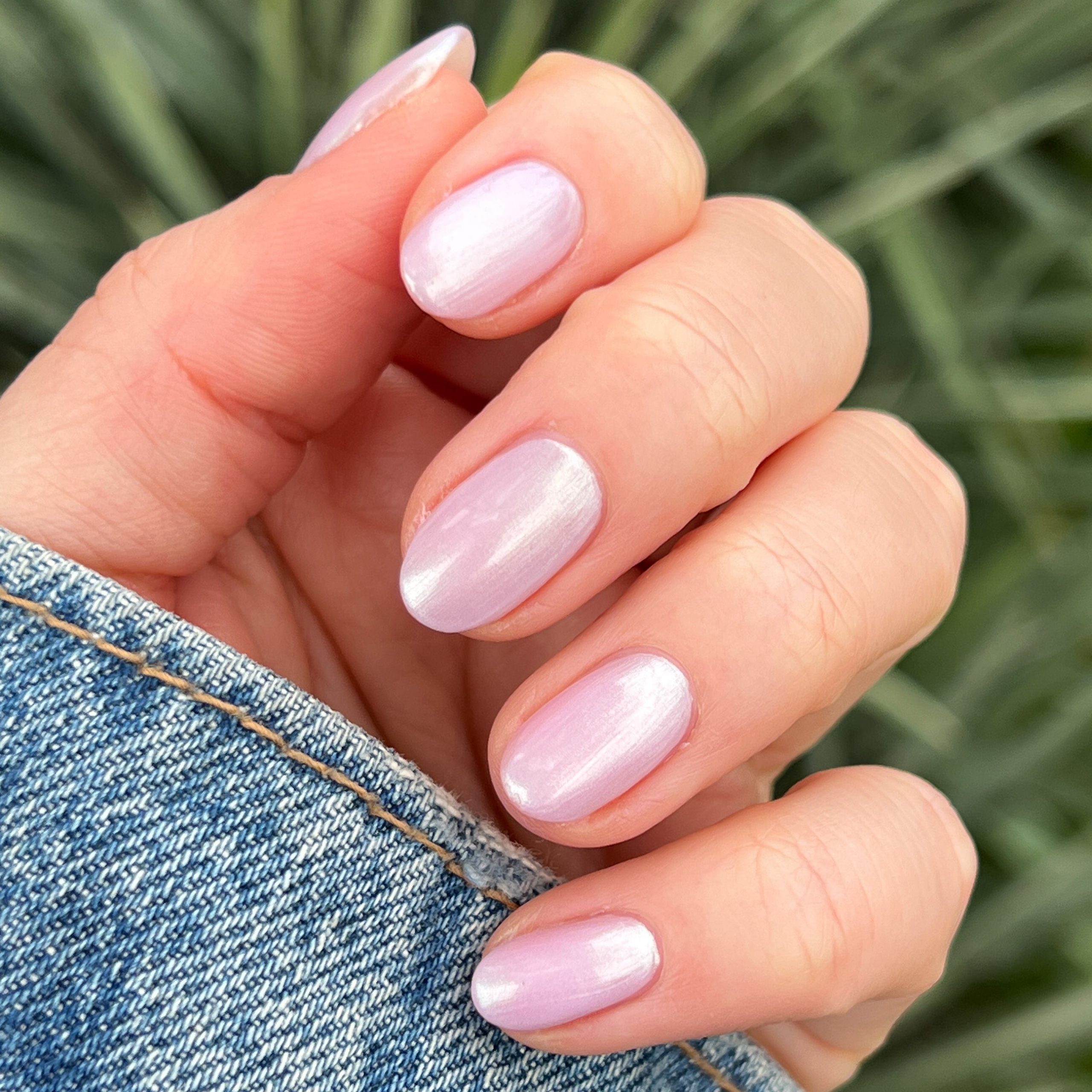 Purple Puka - Image 11