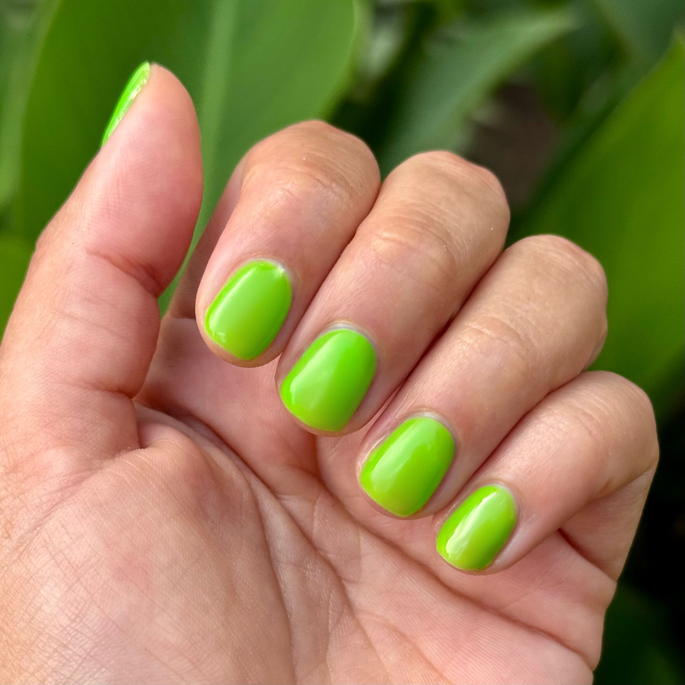 Cancel My Return Flight - Gel - Image 7