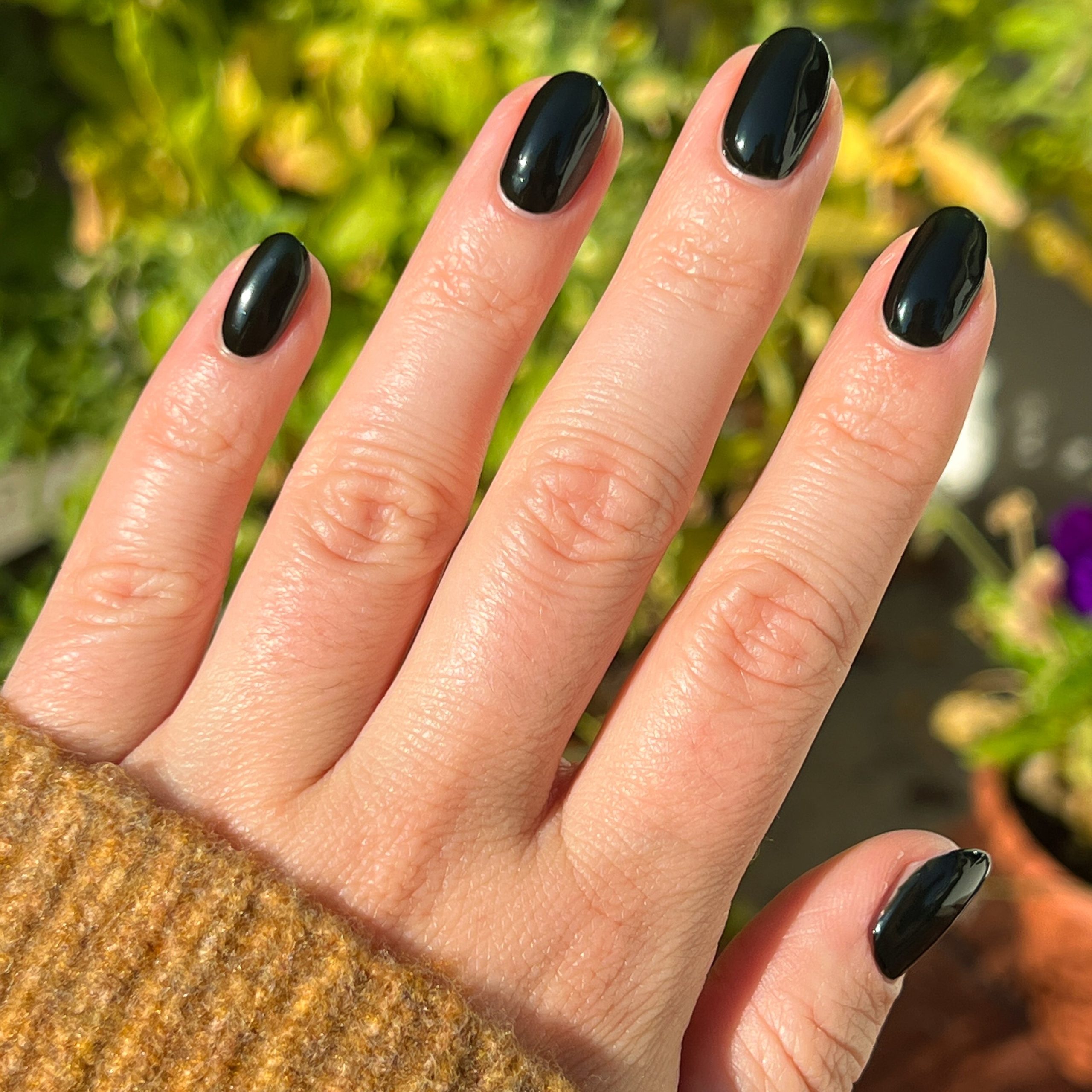 It's Actually Dark Green - Image 12