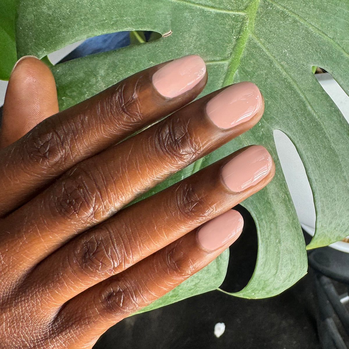 Sheer & Neutral Gel Polish Set - Image 3