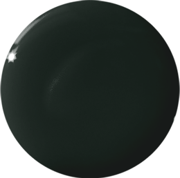 It's Actually Dark Green - Image 13