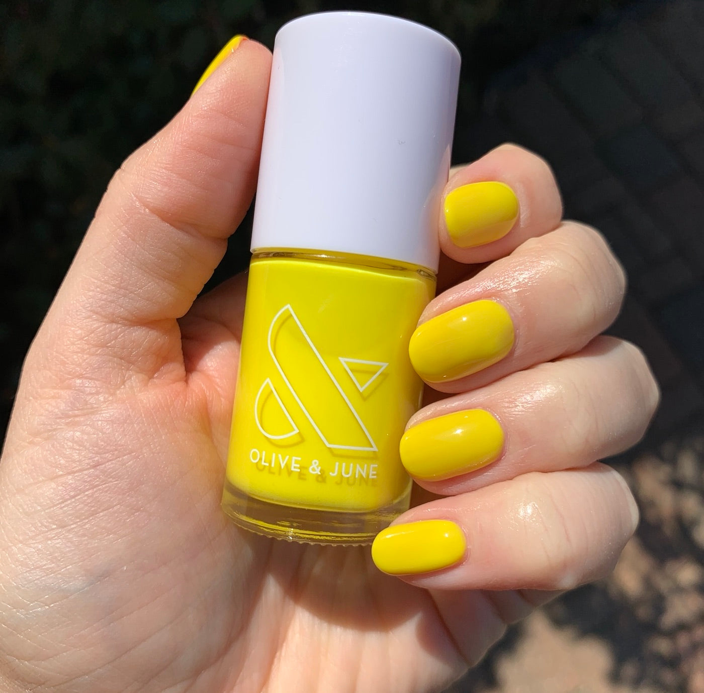 Lemony Lemon - Image 9