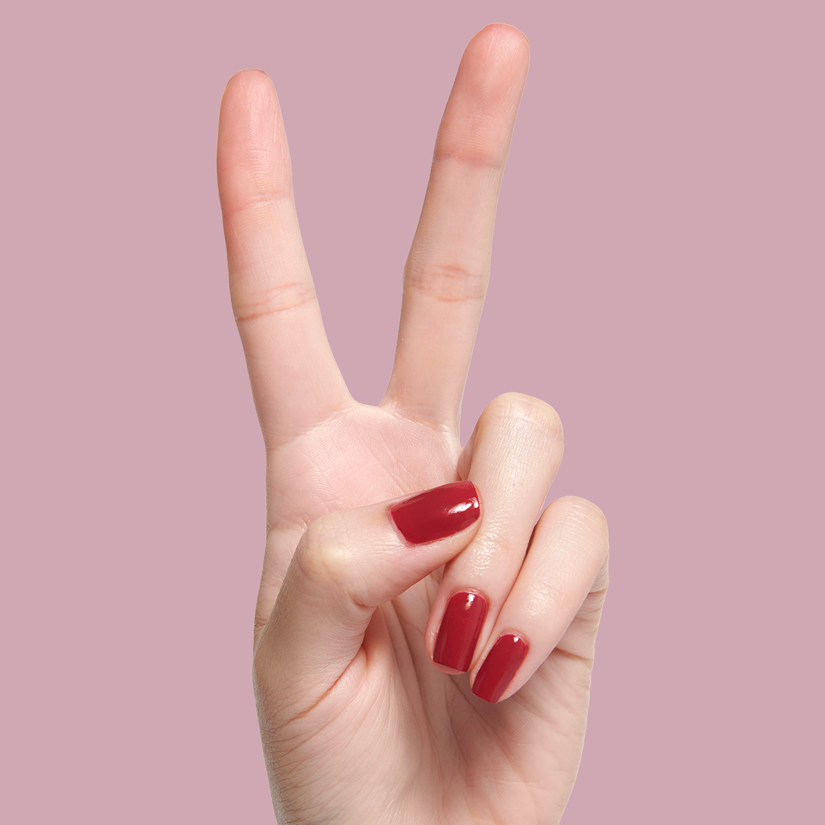 In the Clutch - Image 3