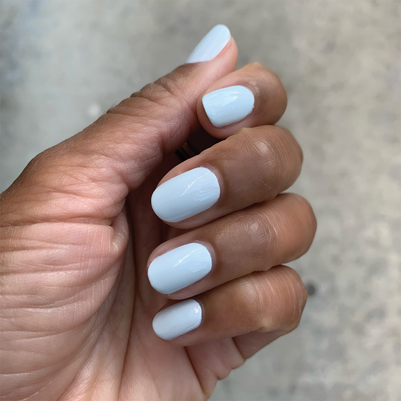 Angelfish - Image 11