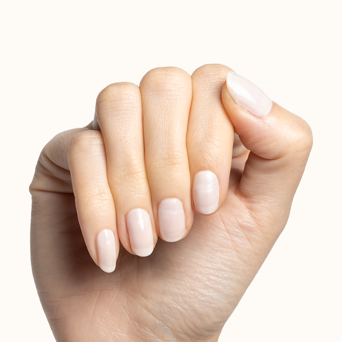 Buttercream - Image 4